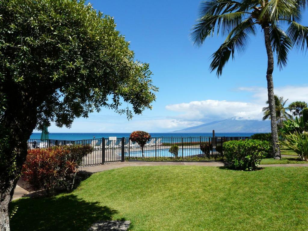 Condos At Napili Point Lahaina Oda fotoğraf