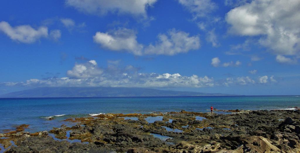Condos At Napili Point Lahaina Dış mekan fotoğraf