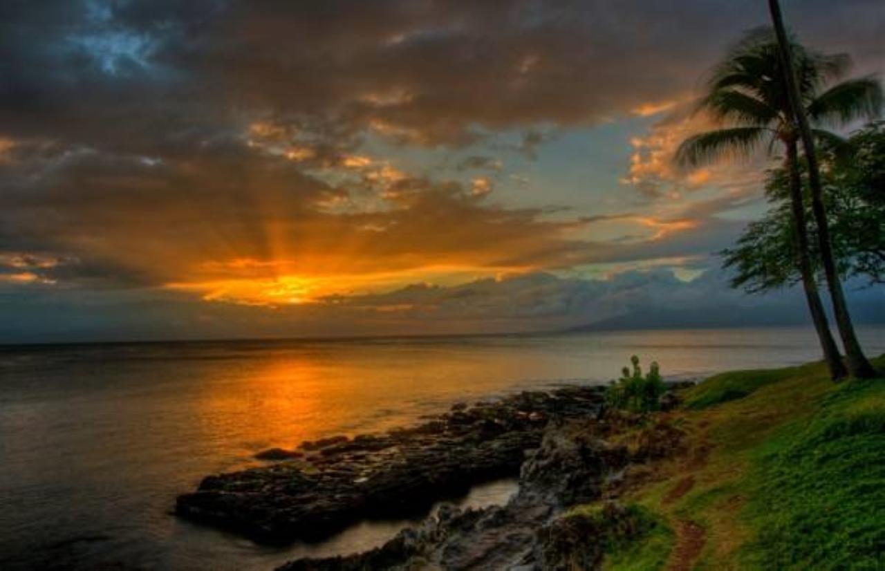 Condos At Napili Point Lahaina Dış mekan fotoğraf